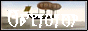 Morrowind Mods, from dongle